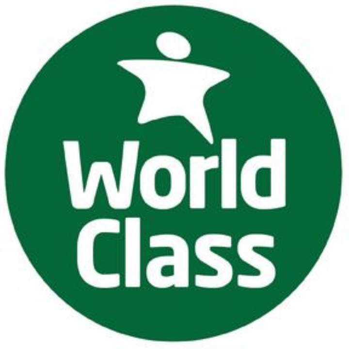  Ivybridge Community College                  Re-awarded World Class Schools Quality Mark 